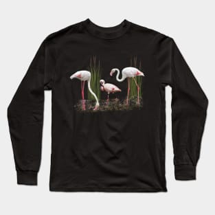 Greater Flamingo and Lesser Flamingo in Kenya / Africa Long Sleeve T-Shirt